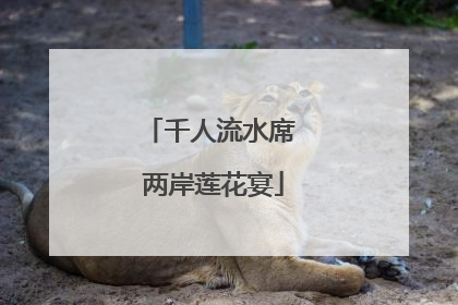 千人流水席 两岸莲花宴
