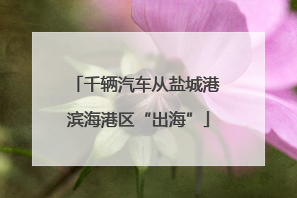 千辆汽车从盐城港滨海港区“出海”