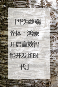 华为终端龚体：鸿蒙开启高效智能开发新时代