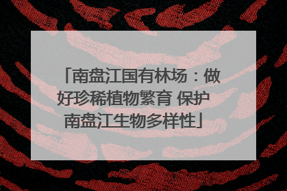 南盘江国有林场：做好珍稀植物繁育 保护南盘江生物多样性