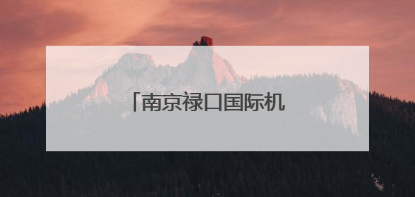 南京禄口国际机场值机有新变化