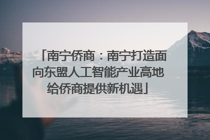 南宁侨商：南宁打造面向东盟人工智能产业高地给侨商提供新机遇