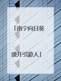 南宁向日葵盛开引游人