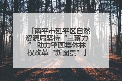 南平市延平区自然资源局坚持“三聚力” 助力擎画集体林权改革“新图景”