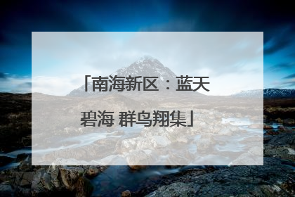 南海新区：蓝天碧海 群鸟翔集