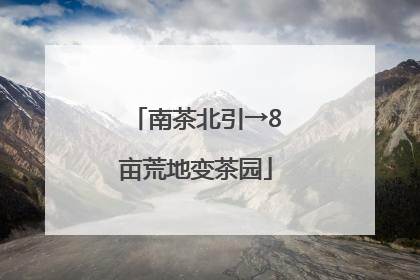 南茶北引→8亩荒地变茶园