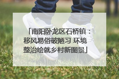 南阳卧龙区石桥镇：移风易俗破陋习 环境整治绘就乡村新图景