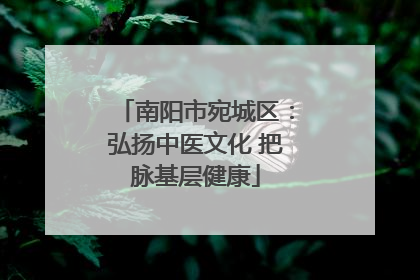 南阳市宛城区：弘扬中医文化 把脉基层健康