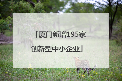厦门新增195家创新型中小企业