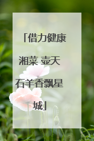 借力健康湘菜 壶天石羊香飘星城