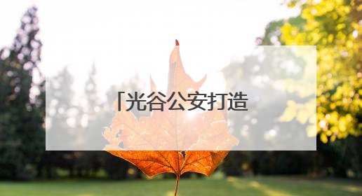 光谷公安打造有温度的政务服务新模式