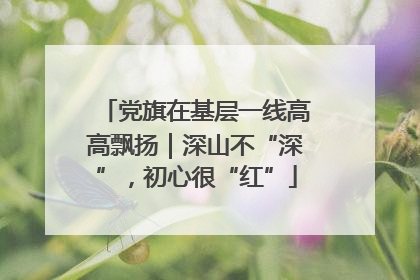 党旗在基层一线高高飘扬｜深山不“深”，初心很“红”