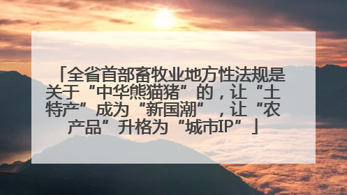 全省首部畜牧业地方性法规是关于“中华熊猫猪”的，让“土特产”成为“新国潮”，让“农产品”升格为“城市IP”