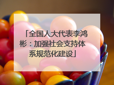 全国人大代表李鸿彬：加强社会支持体系规范化建设