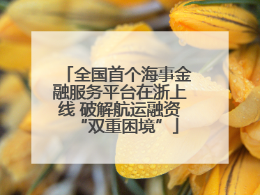 全国首个海事金融服务平台在浙上线 破解航运融资“双重困境”