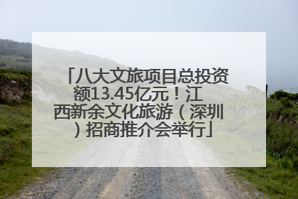 八大文旅项目总投资额13.45亿元！江西新余文化旅游（深圳）招商推介会举行