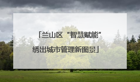兰山区“智慧赋能”绣出城市管理新图景