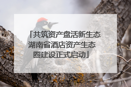 共筑资产盘活新生态 湖南省酒店资产生态圈建设正式启动