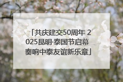 共庆建交50周年 2025昆明·泰国节启幕 奏响中泰友谊新乐章