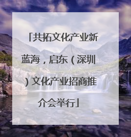 共拓文化产业新蓝海，启东（深圳）文化产业招商推介会举行