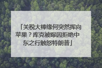 关税大棒缘何突然挥向苹果？库克被曝因拒绝中东之行触怒特朗普