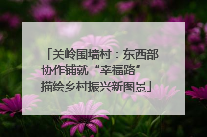 关岭围墙村：东西部协作铺就“幸福路” 描绘乡村振兴新图景