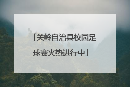 关岭自治县校园足球赛火热进行中
