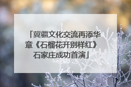 冀疆文化交流再添华章《石榴花开别样红》石家庄成功首演