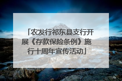 农发行祁东县支行开展《存款保险条例》施行十周年宣传活动