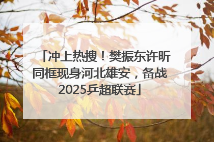 冲上热搜！樊振东许昕同框现身河北雄安，备战2025乒超联赛