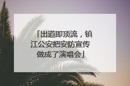 出道即顶流，镇江公安把安防宣传做成了演唱会