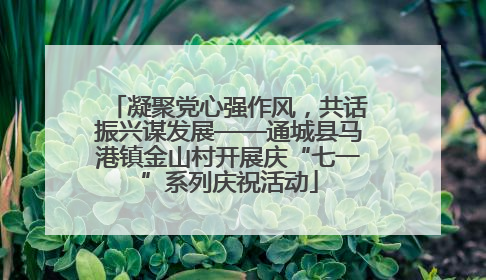 凝聚党心强作风，共话振兴谋发展——通城县马港镇金山村开展庆“七一”系列庆祝活动