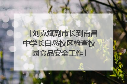 刘克斌副市长到南昌中学长白岛校区检查校园食品安全工作