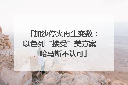 加沙停火再生变数：以色列“接受”美方案、哈马斯不认可