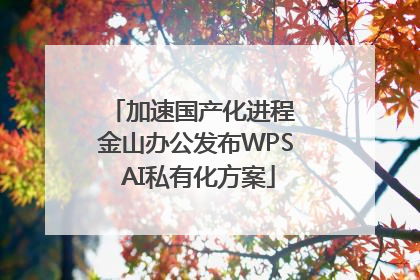 加速国产化进程 金山办公发布WPS AI私有化方案