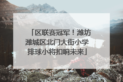 区联赛冠军！潍坊潍城区北门大街小学排球小将扣响未来