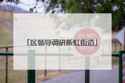 区领导调研新虹街道