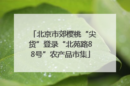 北京市郊樱桃“尖货”登录“北苑路88号”农产品市集