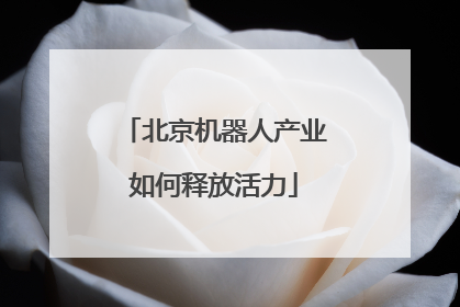北京机器人产业如何释放活力