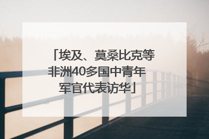 埃及、莫桑比克等非洲40多国中青年军官代表访华