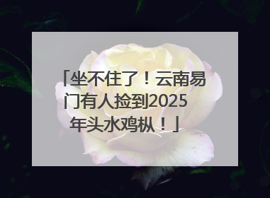 坐不住了！云南易门有人捡到2025年头水鸡枞！