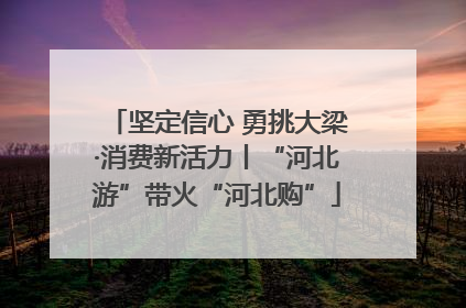 坚定信心 勇挑大梁·消费新活力丨“河北游”带火“河北购”