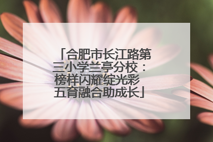 合肥市长江路第三小学兰亭分校：榜样闪耀绽光彩 五育融合助成长
