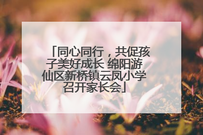 同心同行，共促孩子美好成长 绵阳游仙区新桥镇云凤小学召开家长会
