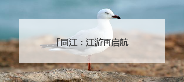 同江：江游再启航 释放“夜经济”