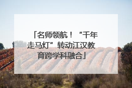 名师领航！“千年走马灯”转动江汉教育跨学科融合