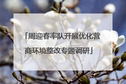 周迎春率队开展优化营商环境整改专题调研