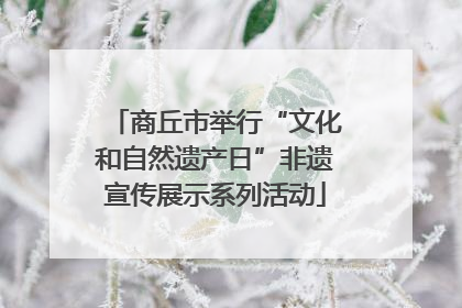 商丘市举行“文化和自然遗产日”非遗宣传展示系列活动