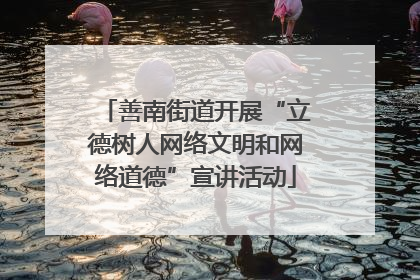 善南街道开展“立德树人网络文明和网络道德”宣讲活动