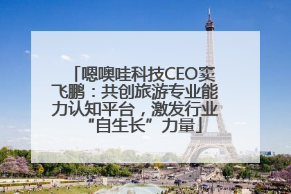 嗯噢哇科技CEO窦飞鹏：共创旅游专业能力认知平台，激发行业“自生长”力量